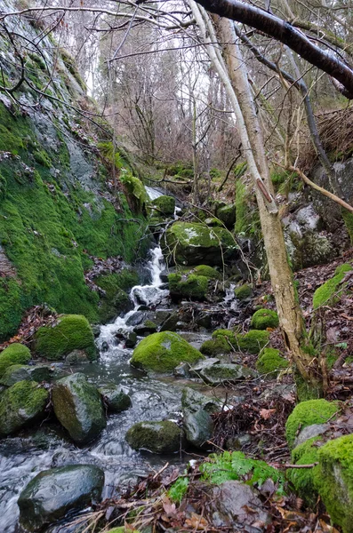 Ein kleiner Wasserfall im Wald — Stockfoto