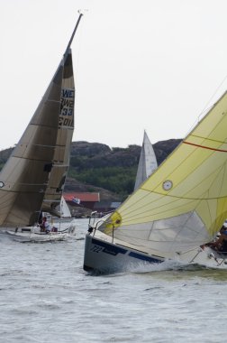 Yelken rekabet İsveç'te