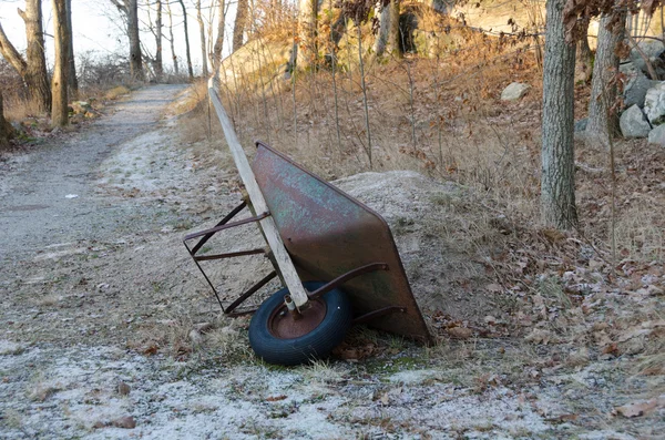 One wheelbarrow in the forrest — Stock Photo, Image