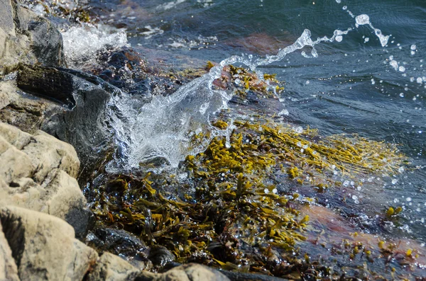 Éclaboussures d'eau — Photo