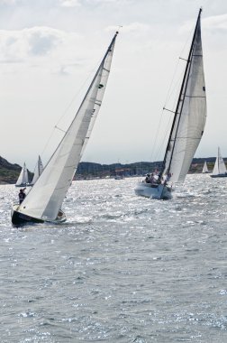 sail competition