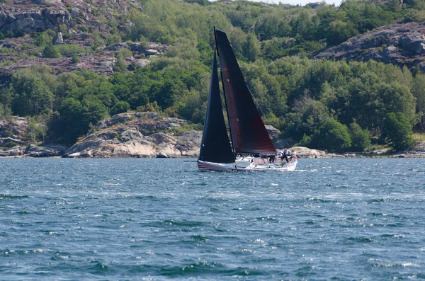 Een zeilboot in een competitie — Stockfoto