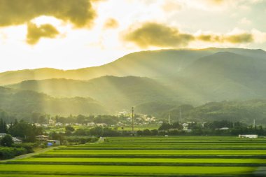 Kırsal görüntü günbatımı ışığı
