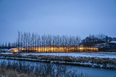 İzlanda imajının vinil evi