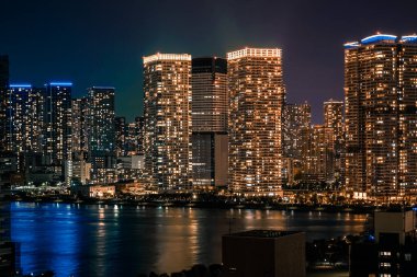Tokyo gece görüşü Toyosu 'dan görüldü.