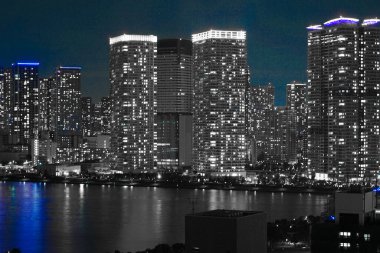 Tokyo gece görüşü Toyosu 'dan görüldü.