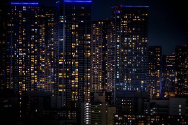 Tokyo gece görüşü Toyosu 'dan görüldü.