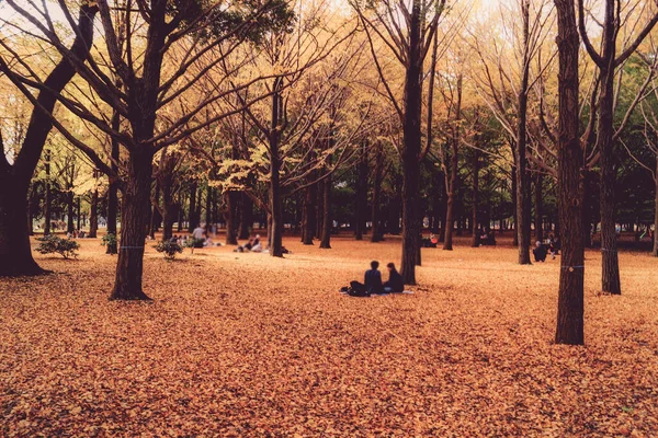 Yoyogi Park Der Mit Herbstblättern Bedeckt Ist — Stockfoto