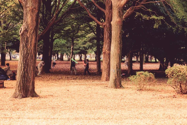 Parque Yoyogi Que Está Cubierto Hojas Otoño —  Fotos de Stock