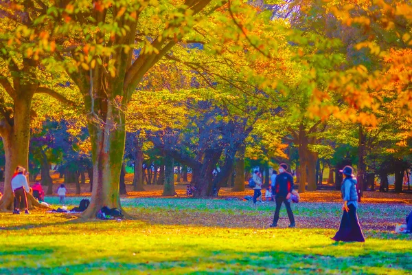 Yoyogi Park Der Mit Herbstblättern Bedeckt Ist — Stockfoto