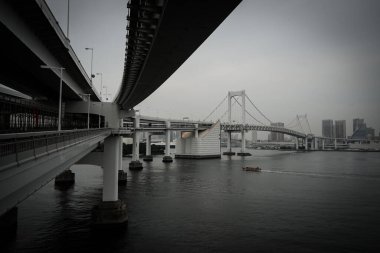 Tokyo Gökkuşağı Köprüsü (tek renkli işlem)