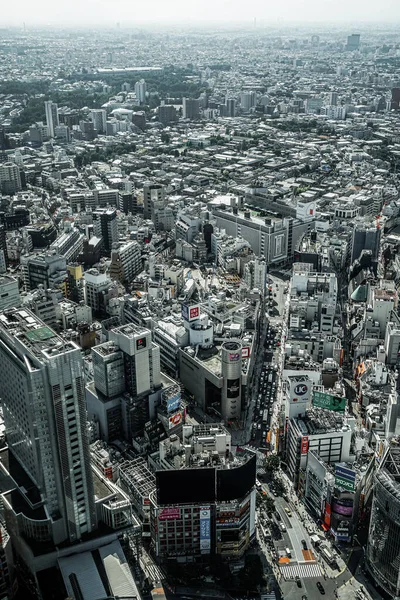 Horizonte Tóquio Visto Céu Shibuya — Fotografia de Stock