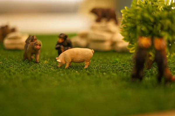 Figury Świni Małpy Oraz Savannah — Zdjęcie stockowe