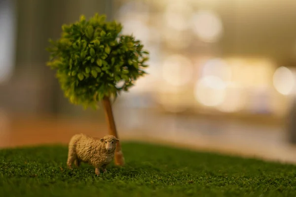 Des Moutons Figure Image Savane — Photo