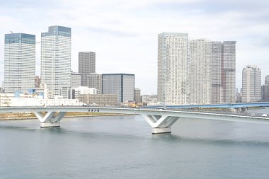 Tokyo 'nun yüksek katlı apartman grubunun resmi