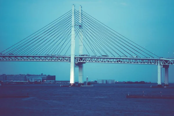 Image Pont Baie Yokohama Monochrome — Photo
