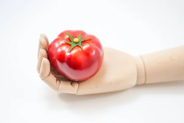 リンゴを手に持った木の手 — ストック写真