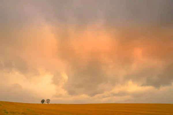 Silueta Stromu Rodiče Dítěte — Stock fotografie