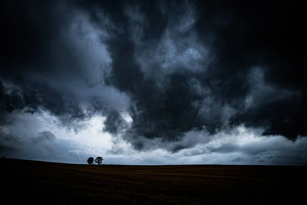 Silhouette Arbre Parent Enfant — Photo