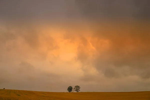 Silhouette Eines Baumes Aus Eltern Und Kind — Stockfoto