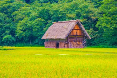 Thatched eski özel çatı evi (Shirakawa-go)