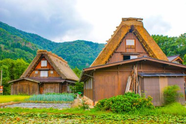 Thatched eski özel çatı evi (Shirakawa-go)