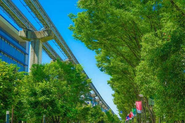 Tama Monorail Och Den Färska Gröna — Stockfoto