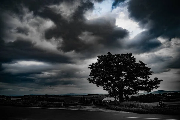 Sieben Sterne Von Bäumen Und Bewölktem Himmel Hokkaido Biei Cho — Stockfoto