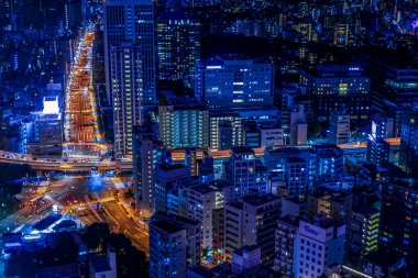 Tokyo Kulesi 'nden Tokyo gece görüntüsü