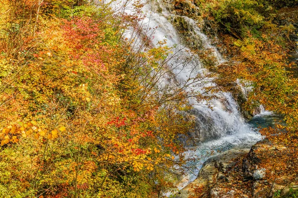 Őszi Levelek Vízesés Rododendron Gunma Prefektúra Negyvenezer — Stock Fotó