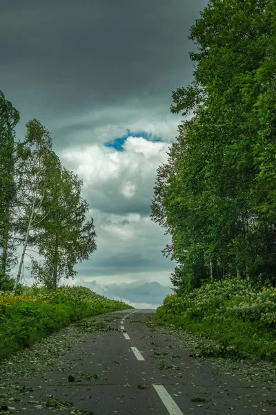 Hokkaido Van Weg Straatbomen — Stockfoto