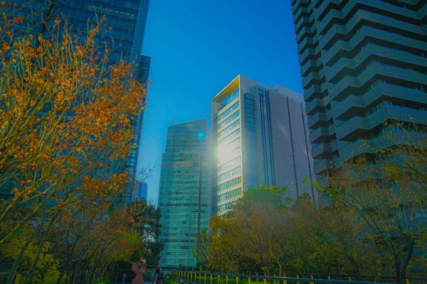 Wolkenkrabbers Afbeelding Van Roppongi Chome — Stockfoto