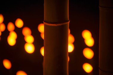 Bambu ormanı (vatandaşın küçük masa kalesi ormanını aydınlatır))