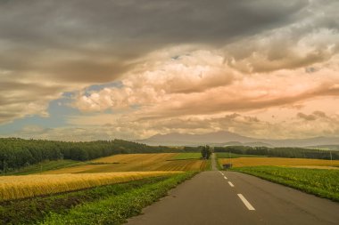 Otlakların ve akşamların Hokkaido 'su