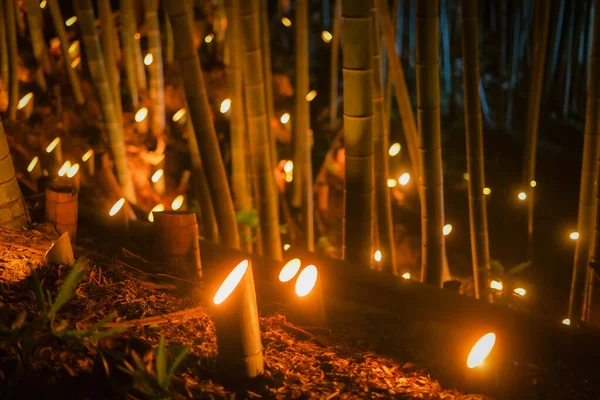Bambusowy Las Oświetlić Małe Biurko Zamek Las Obywatela — Zdjęcie stockowe