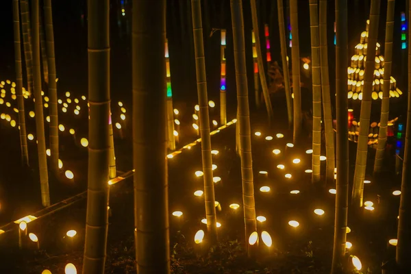 Floresta Bambu Iluminar Pequena Mesa Castelo Floresta Cidadão — Fotografia de Stock