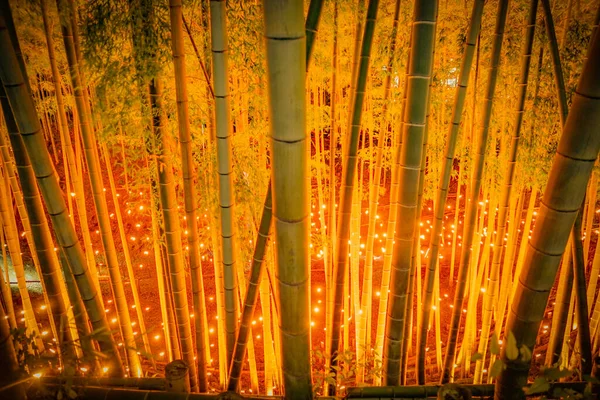 Bamboo Forest Light Small Desk Castle Forest Citizen — Stock Photo, Image