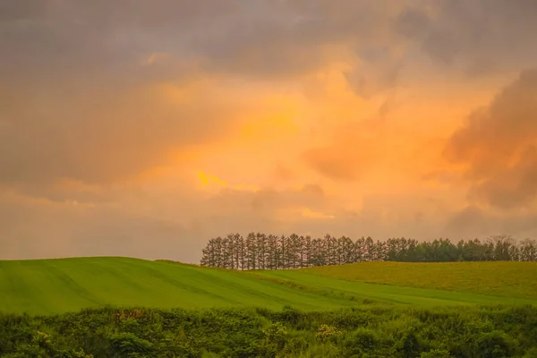 Hokkaido Von Grasland Und Abend — Stockfoto