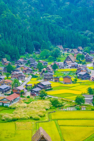 Shirakawa Skyline Takayama Préfecture Gifu — Photo