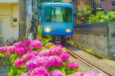 Hydrangea ve Enoshima Elektrik Demiryolu