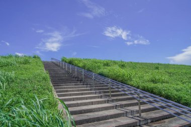 Nehir yatağının Edogawa 'sı (Matsudo kırpması)