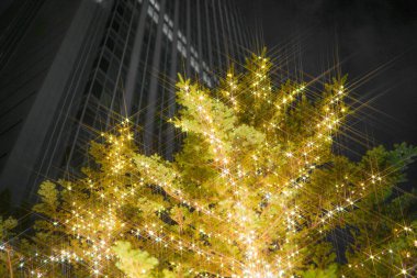 Resmin Noel aydınlatması (kullanılan çapraz filtre)