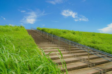 Nehir yatağının Edogawa 'sı (Matsudo kırpması)