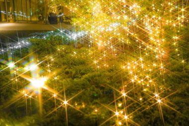 Resmin Noel aydınlatması (kullanılan çapraz filtre)