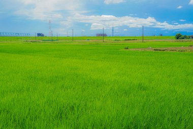 Matsudo kırsal kesimde.