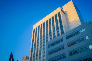 Tamachi 'nin inşa grubu, gün batımında aydınlanıyor.