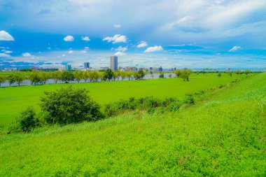 Nehir yatağı manzaralı Edogawa (Matsudo kesme)