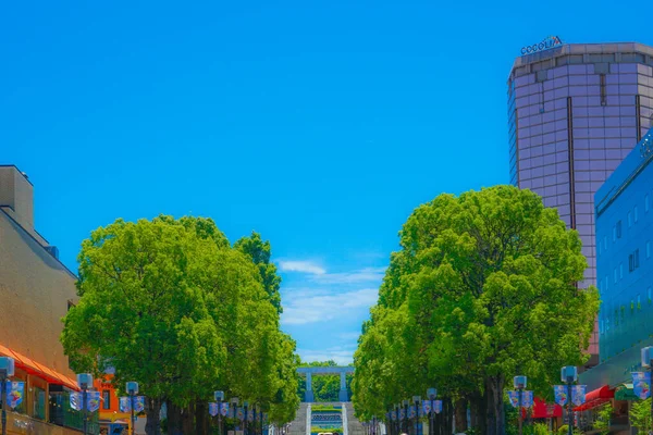 多摩センターの初夏の四分の一 撮影場所 東京都 — ストック写真