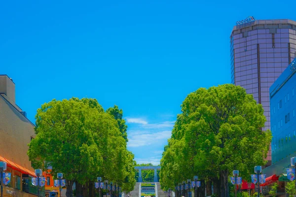 Barrio Principios Del Verano Del Centro Tama Ubicación Del Disparo —  Fotos de Stock