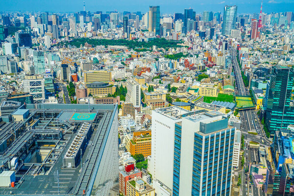 The view from the Shibuya Sky observatory. Shooting Location: Tokyo metropolitan area